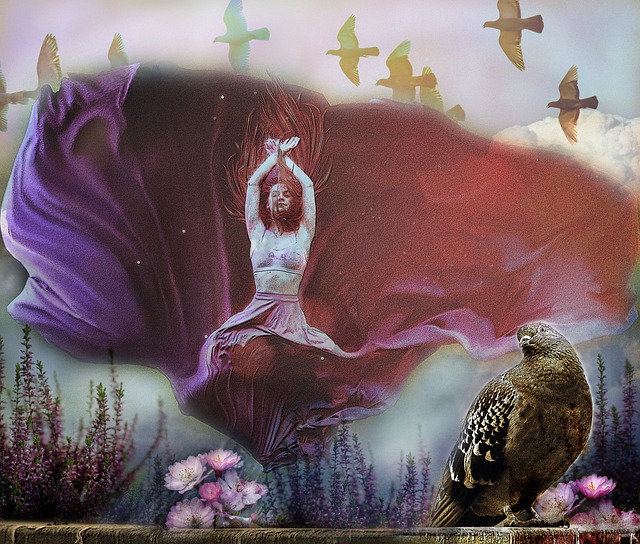 BA总冠军 BA总冠军