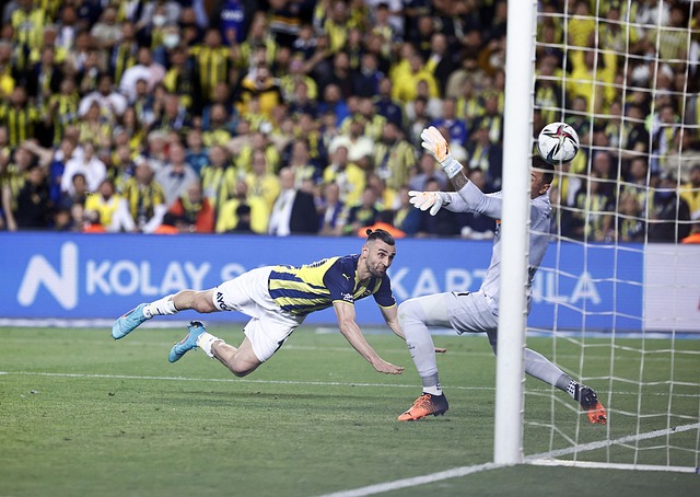 伊朗队的实 伊朗队的实