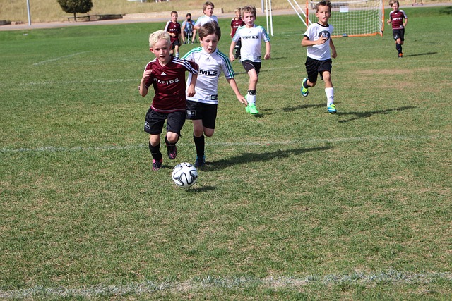 发挥了重要 发挥了重要