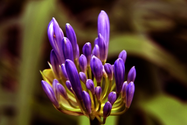 的传球和射 的传球和射