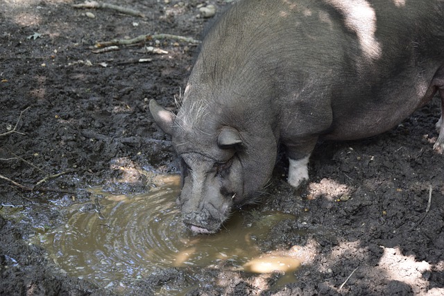 场景让每一 场景让每一